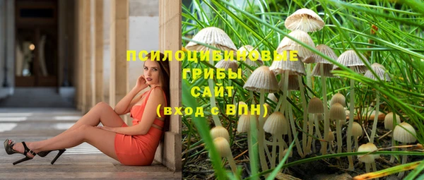 стаф Абдулино